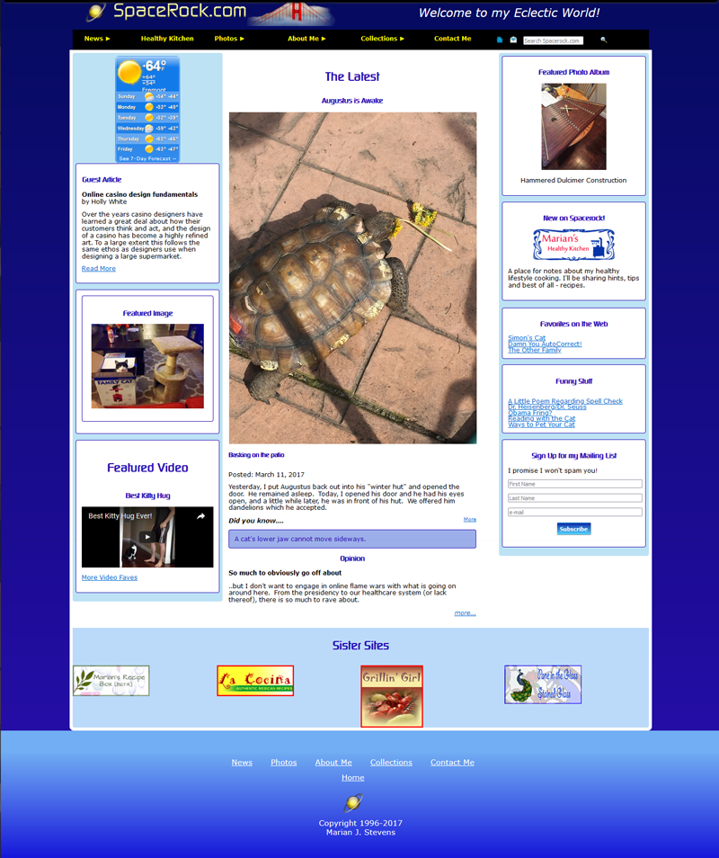 2017 screenshot of Spacerock.com featuring Augustus the tortoise, with graphics set I used for way too long.